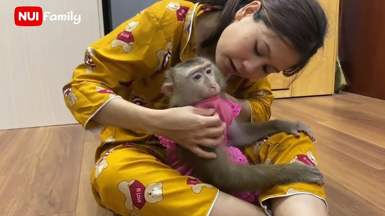 When Nui has no daughter Poni | Nui Family