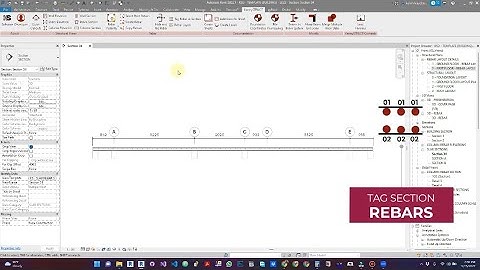 KennySTRUCT -  TAG REBAR IN SECTION