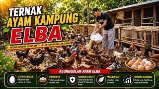 Success Secrets Of Raising Elba Freerange Chickens Easy Care Fast Laying And Big Profits