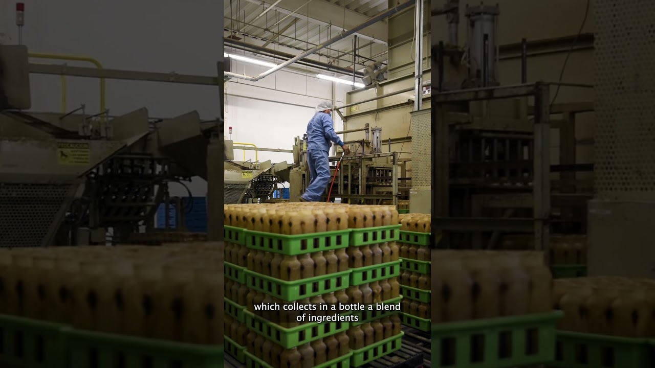 Exploring a Japanese Mushroom Factory #shorts - YouTube