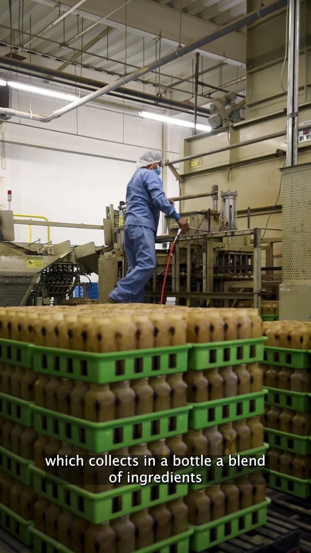 Exploring a Japanese Mushroom Factory #shorts - YouTube