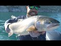 Fishing home waters pyramid lake wfwp