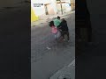 #Edomex | Cámaras captan intento de asalto a una mujer que viajaba en bicicleta con su hija.