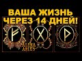 ВЫБЕРИ РУНУ И УЗНАЙ БУДУЩЕЕ ЧЕРЕЗ 14 ДНЕЙ!/на любовь/на будущее/гадание таро онлайн/новые видео