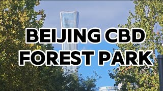 Beijing s Secret CBD Park A Tranquil Escape in the Urban Jungle