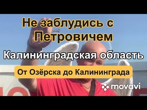 Бейне: Калининградта не сатып алуға болады