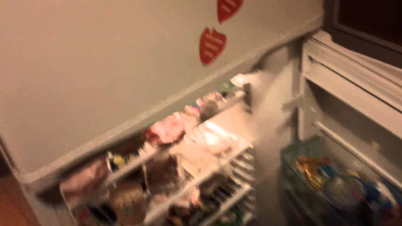 Chłodziarko-zamrażarka POLAR CZ250