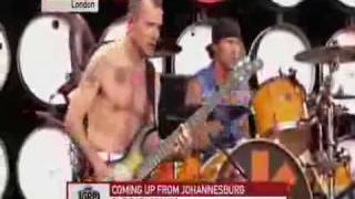 RED HOT CHILI PEPPERS -Cant Stop Live At Live earth Video