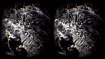 How ScanLAB Projects Creates 3D Laser Ghosts of Earth