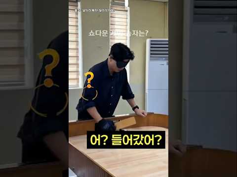 김예지 VS 한동훈 쇼다운 게임 승자는? ♡ 날아라 예지! 달려라 태백! #한동훈 #부산 북구갑 #국회의원  #김예지 #쇼다운 게임 #시각장애인 게임  #shorts