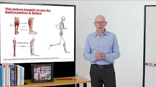 Biomechanics of Movement | Muscle of the Day: Gastrocnemius & Soleus