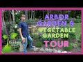 My Arbor & Vegetable Garden tour -  👩‍🌾🥦🍓🍅🥕🌽