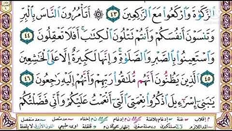 سورة البقرة الصفحه (٧)بسوط الشيخ أيمن السويد