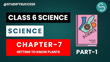 Class 6 Science Chapter 7 Getting to Know Plants part 1📚  #studifysuccess #boardexam #cbse