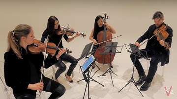 4K Best Philip Glass Quartet: Quartet 2 "Company" (Entire)