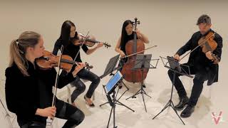 4K Best Philip Glass Quartet: Quartet 2 Company (Entire)