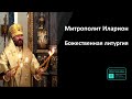 Митрополит Иларион | Прямая трансляция | Божественная Литургия | 26.11.2023