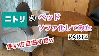 【使い方自由すぎ⁈】ニトリのベッドをソファ化してみた！PART2
