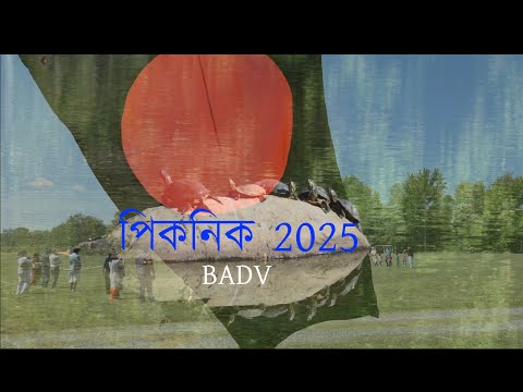 PICNIC & ELECTION BADV 2025