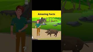 Animal Attack Riddles Only the Smartest Can Solve || #shorts || #FactBeast