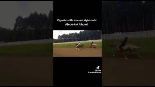 Sgwebo Sentambo Vs Album Horse Racing horse horseracing horseracinglovers traditionalhorseracing