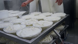 Learn How Ricotta Is Made | Vannella Cheese Factory