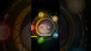 The Secrete Of Five Elements.