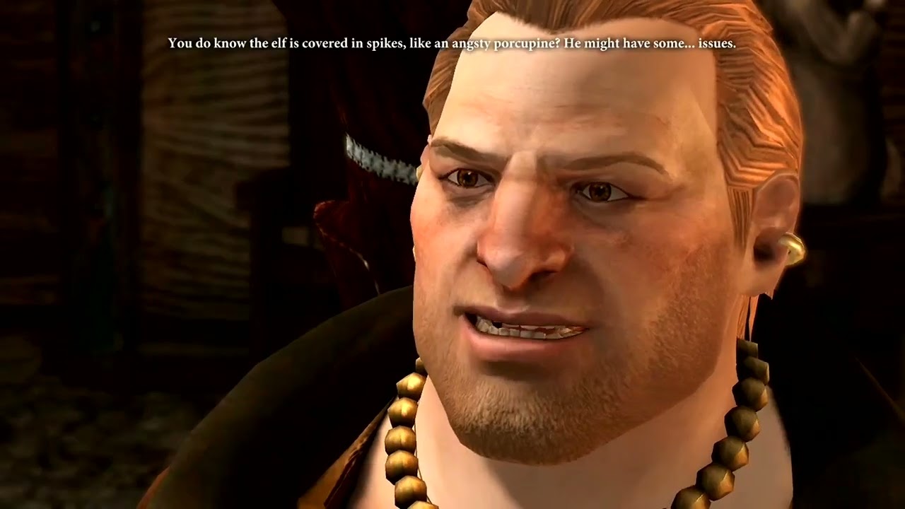 Dragon Age 2 Funny Moments