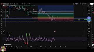 SwftCoin SWFTC, Dogelon Mars ELON, XCN, JASMY, ZEBEC : Crypto Updates!