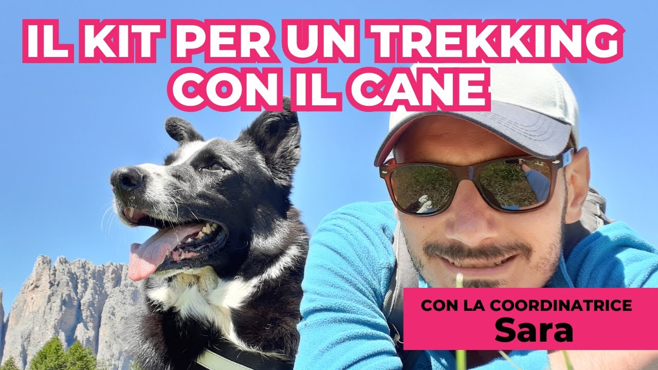 Cosa avere con noi durante un trekking con il nostro CANE