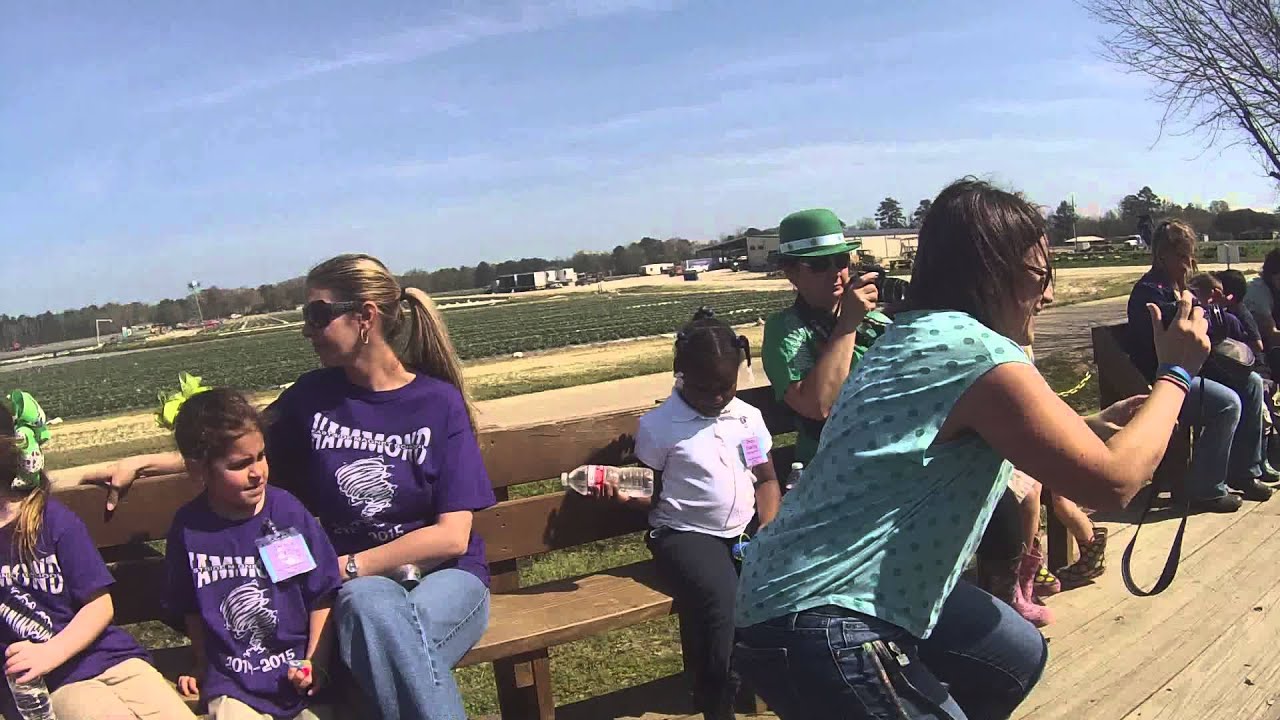 tractor ride Liuzza Farm Trip