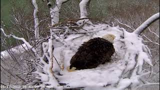 River Finally Did It! - Dale Hollow Eagle Cam -January 17, 2022