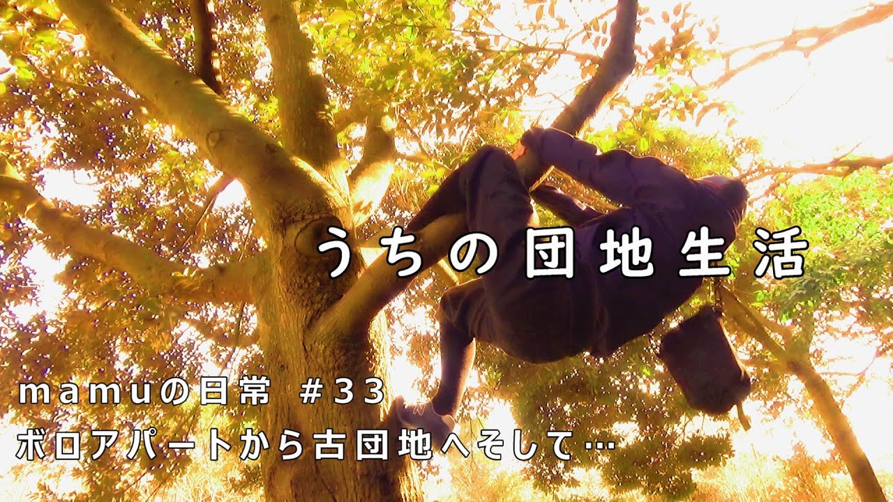 団地主婦の木のぼり