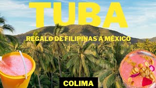 The Tuba Drink: The drink gifted by the Philippines to Mexico - Colima