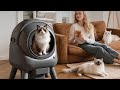 PetSafe Review Self Cleaning Litter Box for Multiple Cats