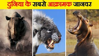 दुनिया के सबसे आक्रामक जानवर | Most Aggressive Animals on Earth | Aggressive Animals in Hindi