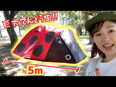 【夏キャン】新作テントの巨大てんとう虫設営してみたら可愛すぎた、、!【テントレビュー】