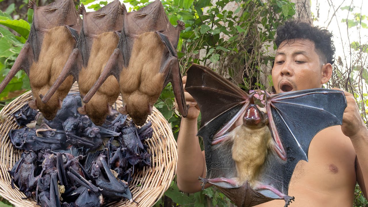 OMG! Catch and Cook Bat with Guava Leaf Recipe, Yummy Bats, Bats