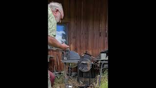 Grill some yellow jacket bees.