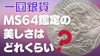 一圓銀貨 MS64鑑定の美しさはどれくらい？