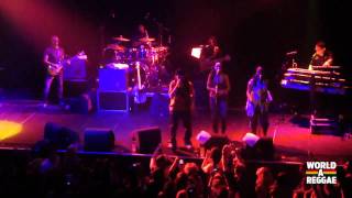 Alborosie live 2011 - Paradiso Amsterdam - Herbalist  / Real Story