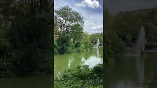 IMG 1869 IMG 1869