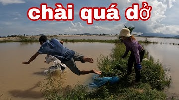 Chài Cá Mùa Nước Nổi Tư  Cà Khịa Và Người Em Bị Cú Này Quá Sốc