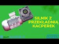 Silnik z przekładnią Kacperek (www.sklepfalowniki.pl)