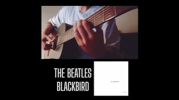 Thumbnail of The Beatles - Blackbird #thebeatles #beatles  #guitar #learning #music #lanzarote