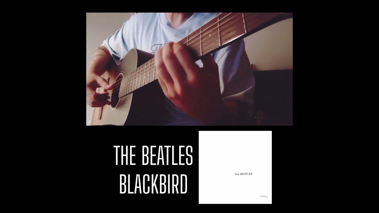 The Beatles - Blackbird #thebeatles #beatles  #guitar #learning #music #lanzarote