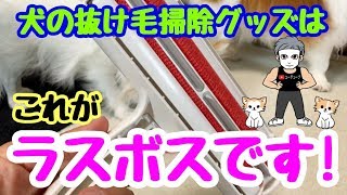 チワワの抜け毛掃除はこれに決まりです！