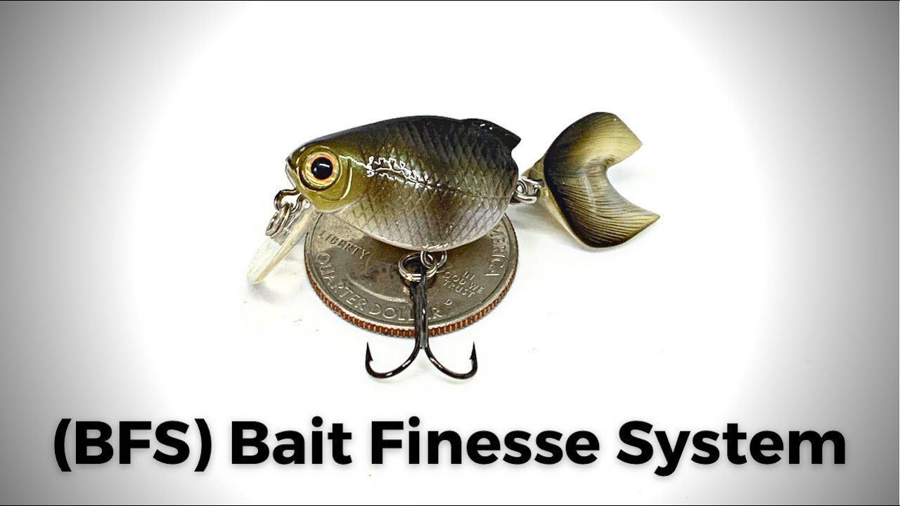 Four Key Finesse Baits and Why I Use Them · The Official Web Site