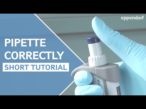 How to pipette correctly – a short step-by-step introduction into proper