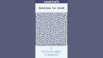 Can YOU Solve These Mazes?! 🧠✨